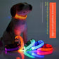 Light Up Dog Collar LED Night Walking Glow Leopard Print