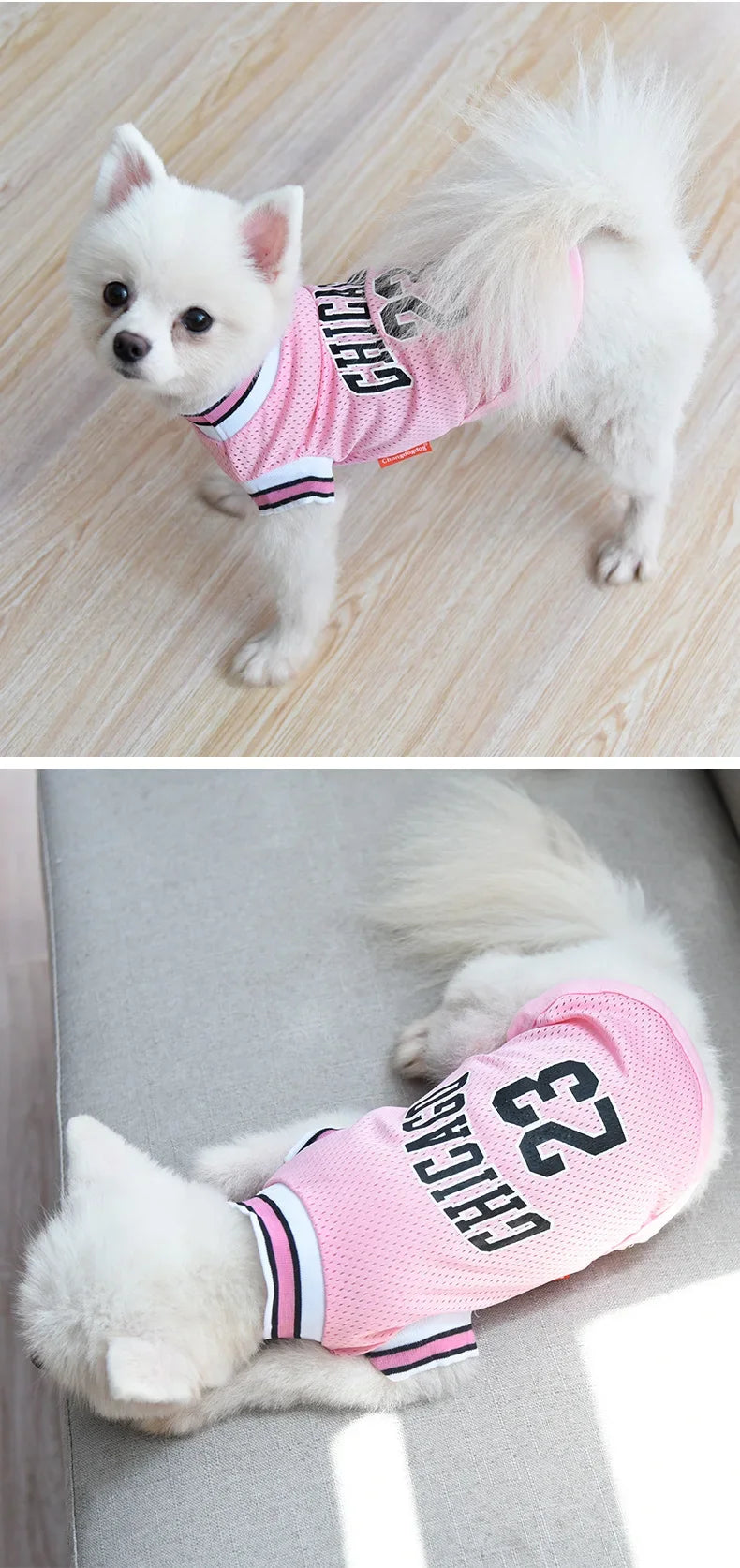 Breathable Sport Dog Jersey