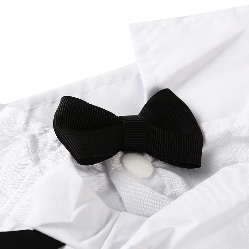 Tuxedo Bow Tie Suit