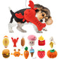 Cute Squeaky Chew Toys for Pets