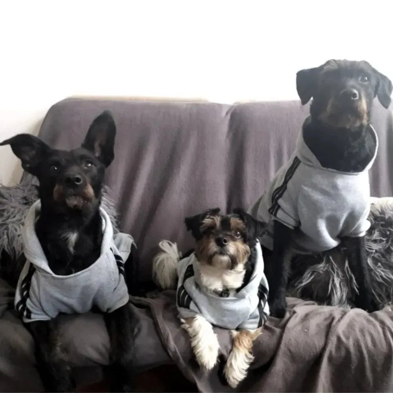 Adidog Dog Hoodies Small and Large Breeds