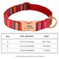 Personalized Pet Collar Nylon