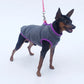 Soft Warm Pet Fleece