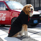 Thick Paw Print or Heart Print Pet Hoodie