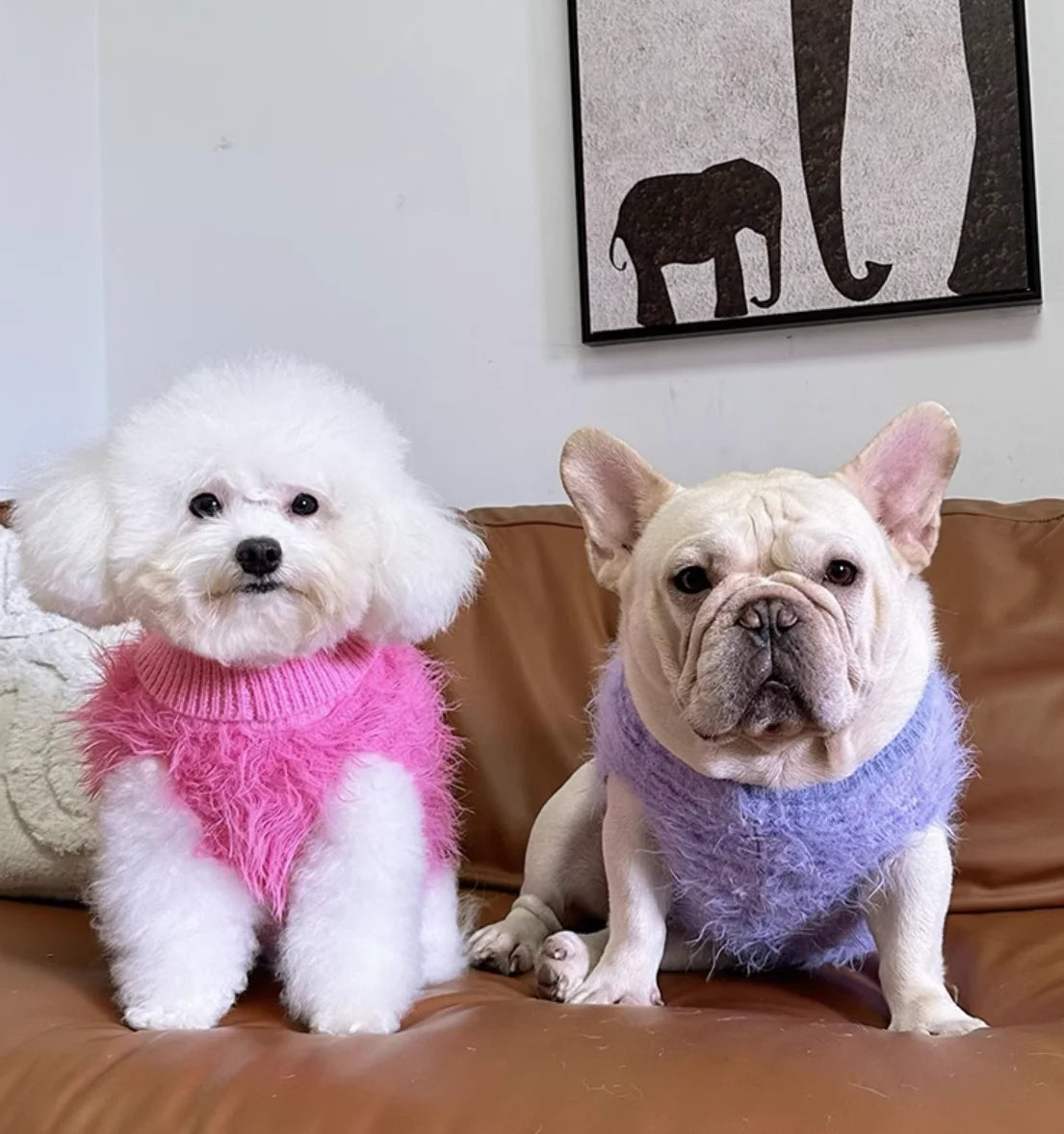 Soft Cotton Fashionable Sweater for Pets