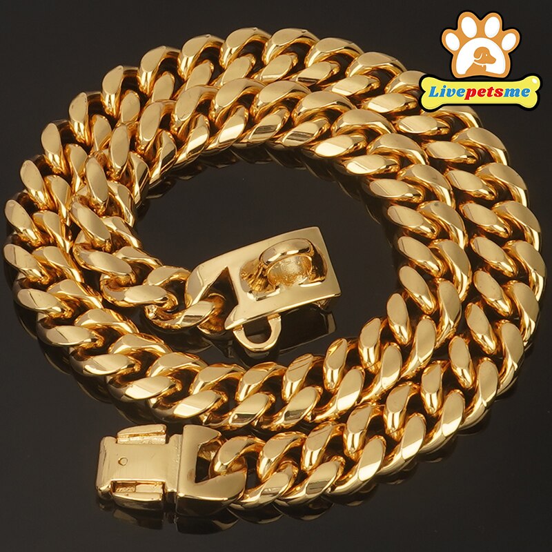 Gold/Stainless Steel Dog Collar