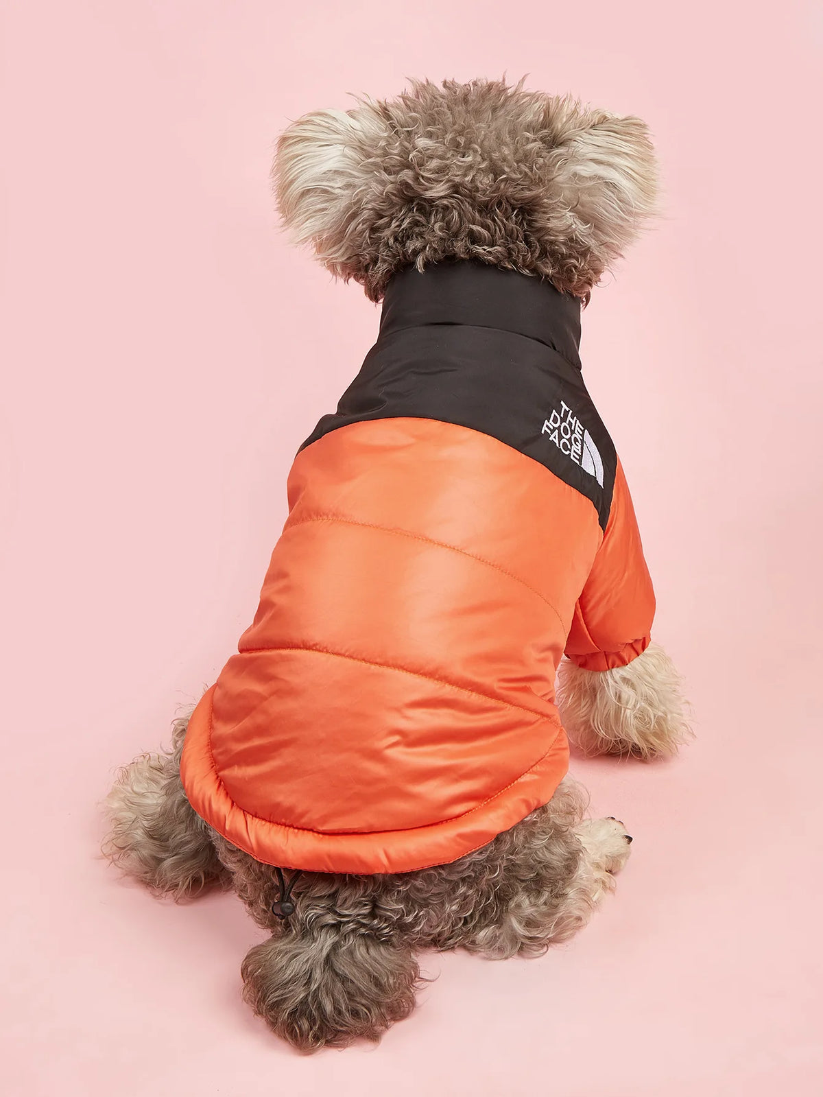 Dogs Snow Jacket