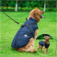 Waterproof Warm Dog Jacket Vest Winter Dog Clothes With Harness