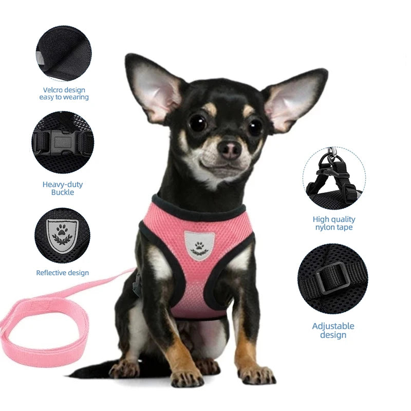 Small Cat or Dog  Harness