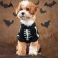 Luminous Skeleton Dog Costumes