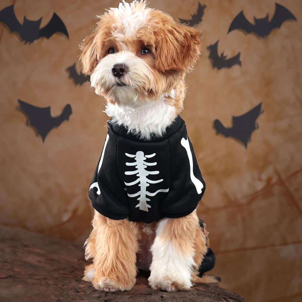 Luminous Skeleton Dog Costumes