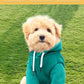 Pet Hoodie Small And Medium Dogs