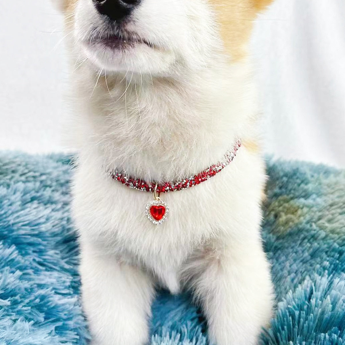 Small Dog or Cat Collar with Diamond Heart Pendant