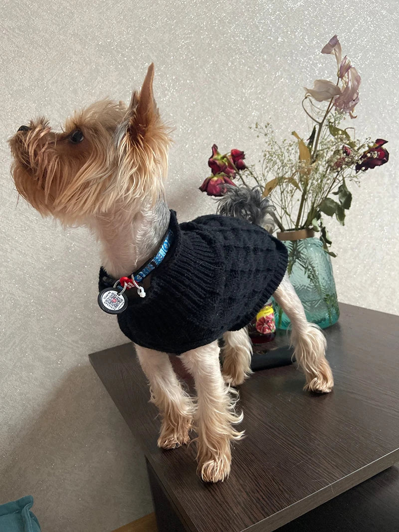 Warm Pet Turtleneck Knit Sweater for small dogs