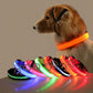 LED Dog Collar