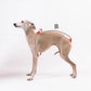 Turtleneck Twist Knitted Sweater for Dogs, Italian Greyhound Whippet, Warm Dog Coat, Dog's Winter Clothing