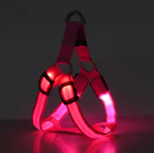 Pet LED Lumious Harness