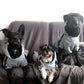 Adidog Dog Hoodies Small and Large Breeds