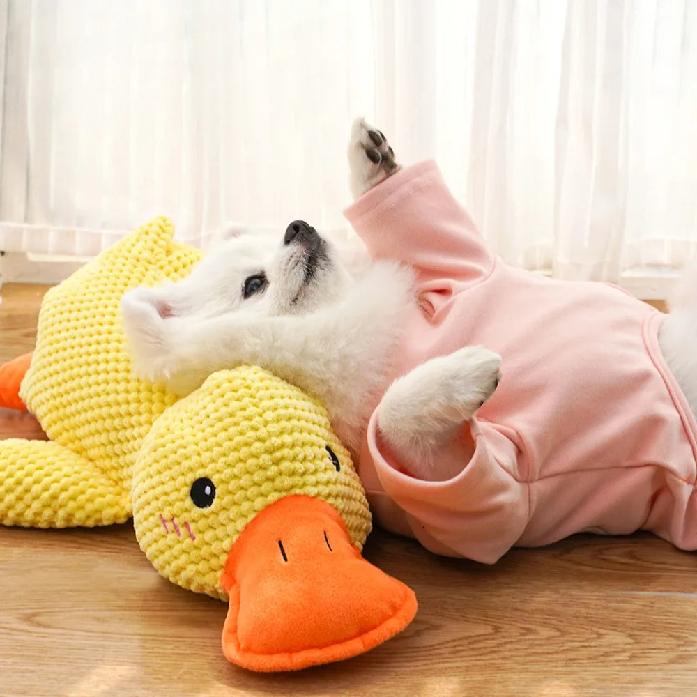 Cute Plush Duck Squeak Toy