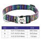 Personalized Pet Collar Nylon