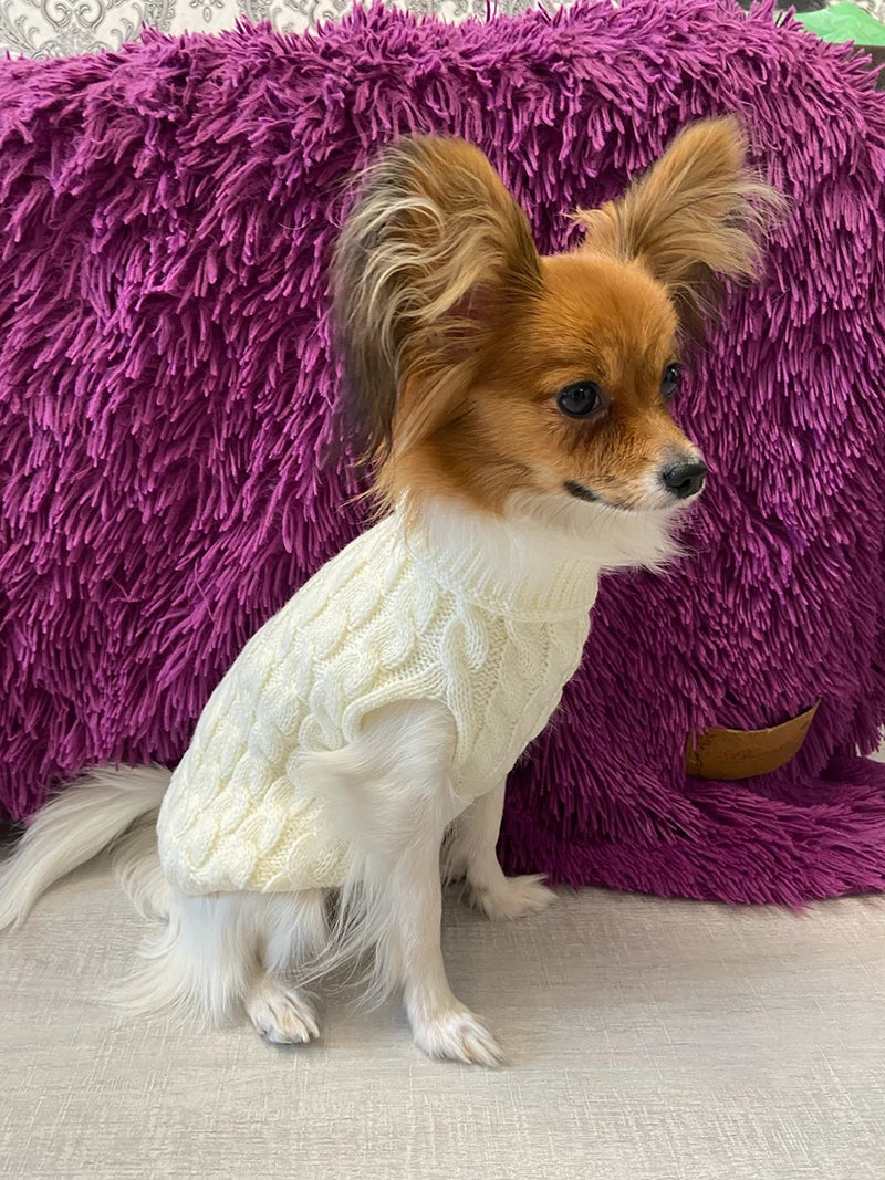 Warm Pet Turtleneck Knit Sweater for small dogs