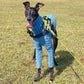 Turtleneck Twist Knitted Sweater for Dogs, Italian Greyhound Whippet, Warm Dog Coat, Dog's Winter Clothing