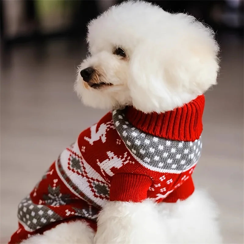 Graphic Christmas Pet Sweaters