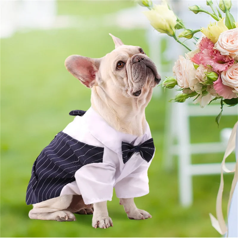 Tuxedo Bow Tie Suit