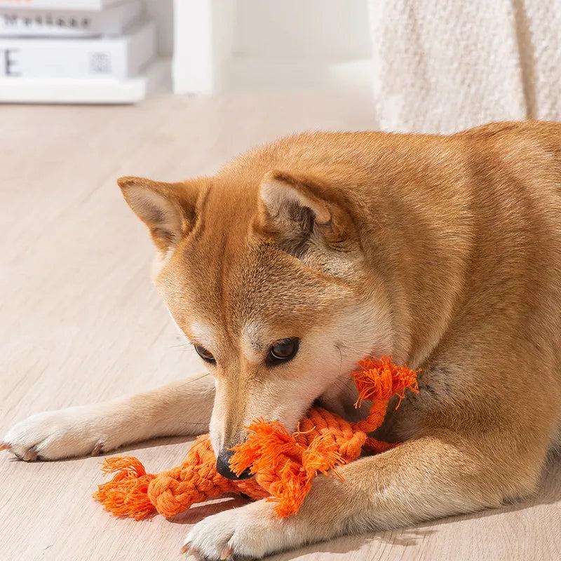 Handmade Cotton Rope Teeth Cleening Chew Toy for Dogs