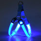 Pet LED Lumious Harness