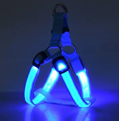 Pet LED Lumious Harness