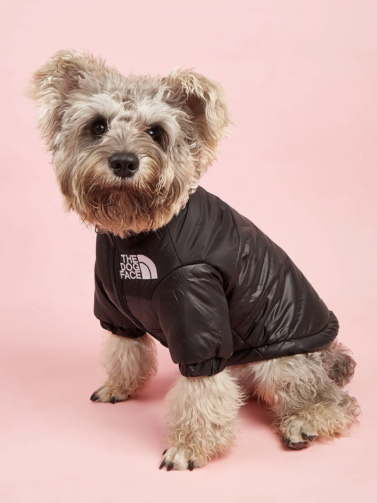 Dogs Snow Jacket