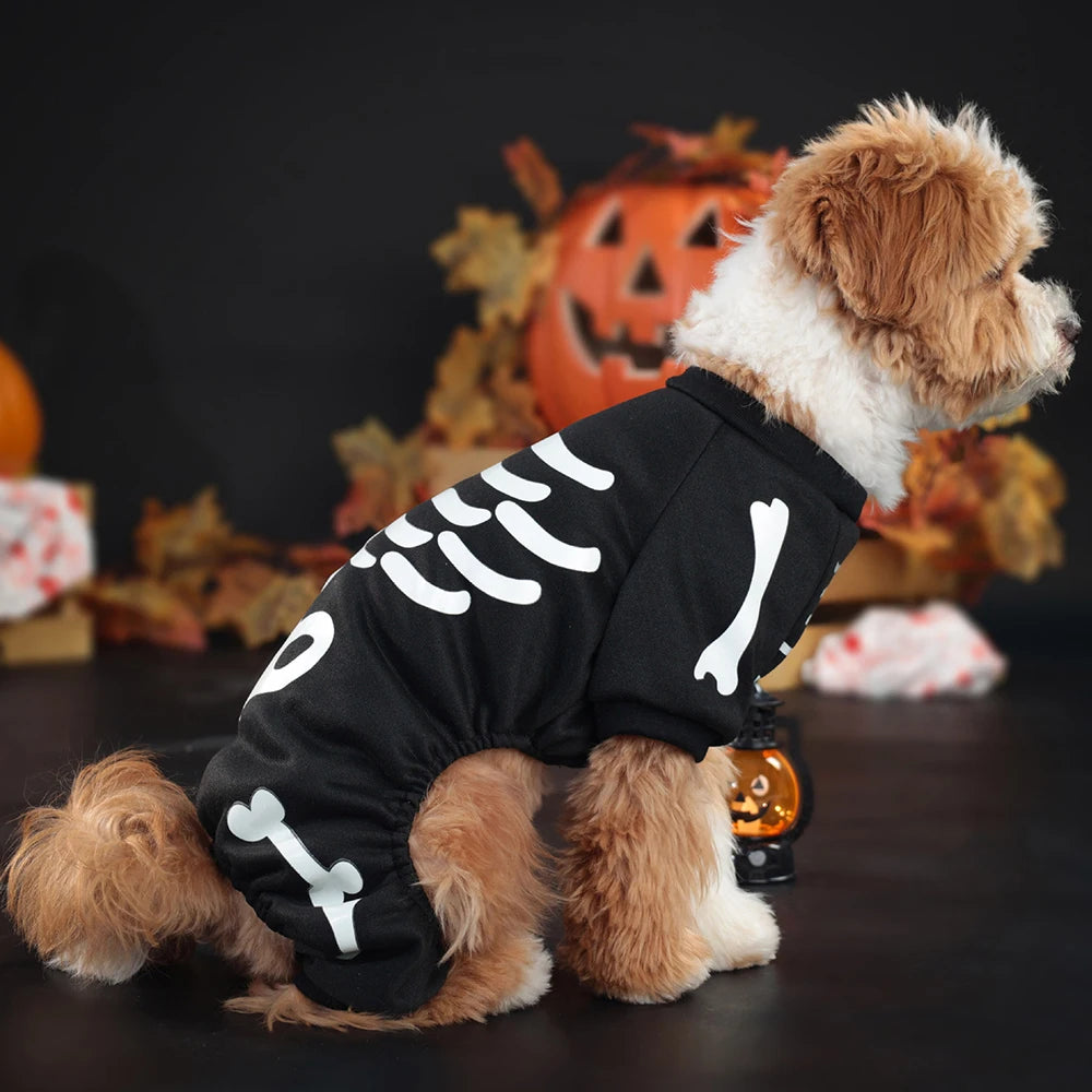 Luminous Skeleton Dog Costumes