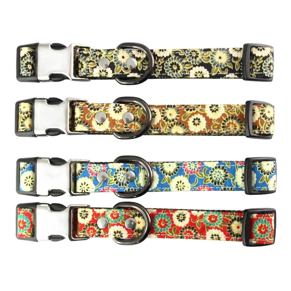 Personalized Dog Collar and Matching Leash