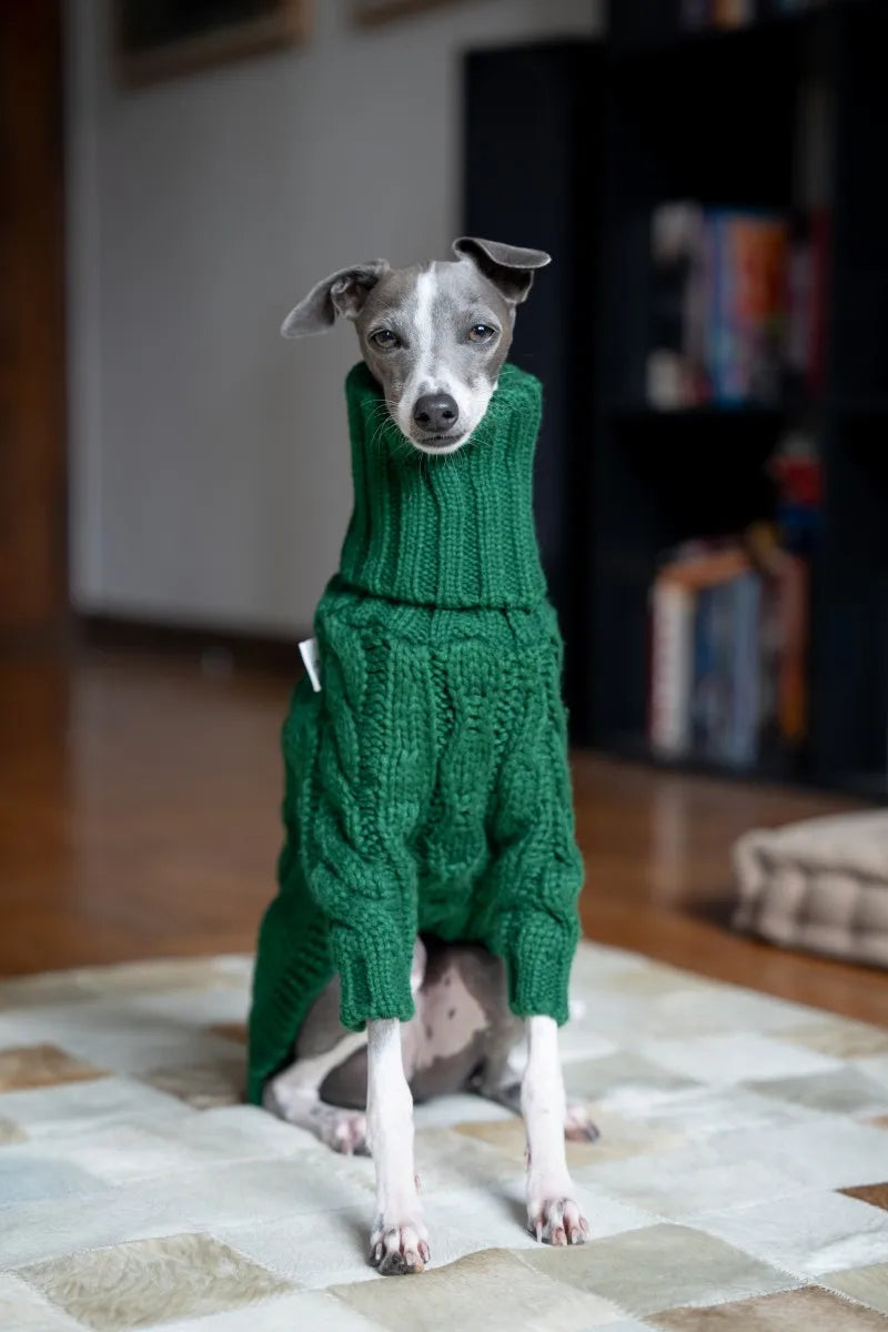 Green turtleneck thickened pet sweater