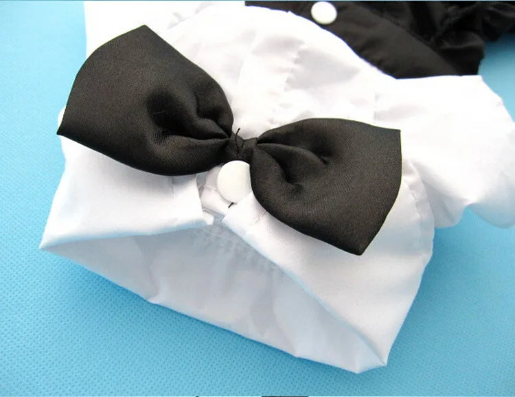 Tuxedo Bow Tie Suit