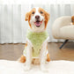 Big Dogs Clothes Winter Warm Sweater XS-8XL