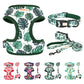 Pet Collar Harness Leash Garbage Bag Set with Playful Printed Design