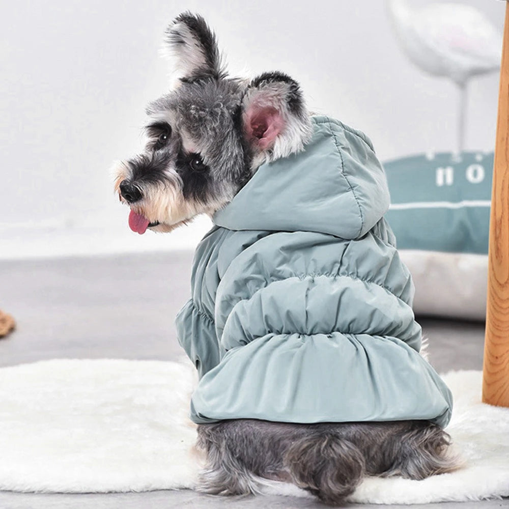 Winter Dress Princess Dog Coat