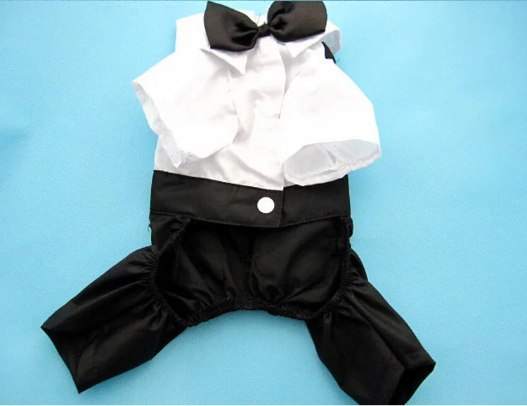 Tuxedo Bow Tie Suit