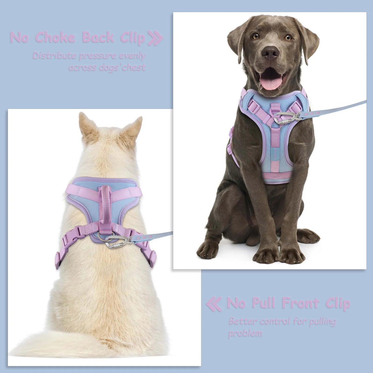 Luxury Dog Harness with No Pull Handle