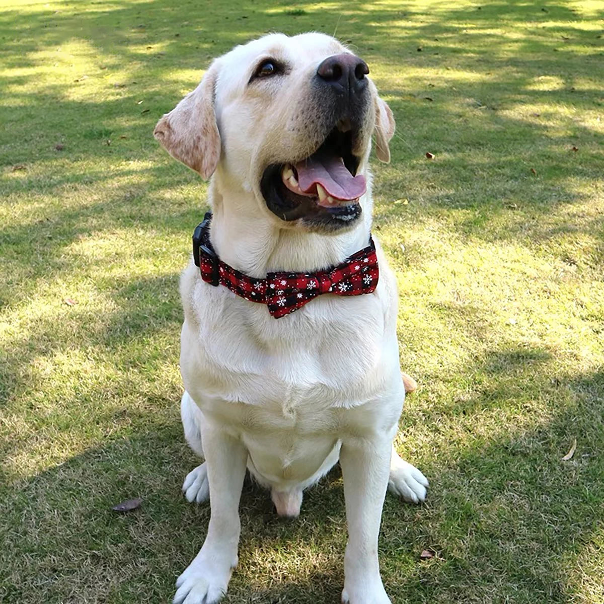 Christmas Plaid Snowflake Dog Collar with Bow Tie