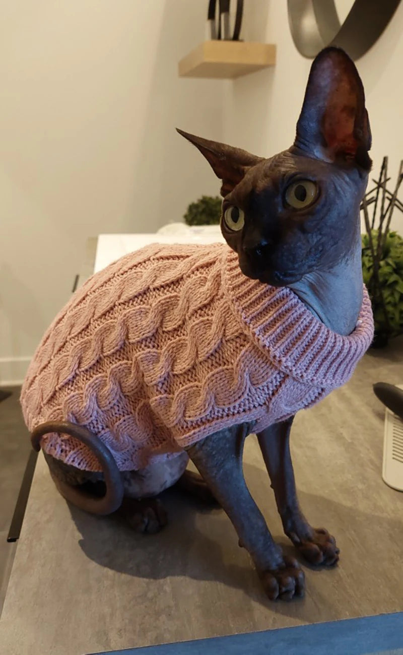 Warm Pet Turtleneck Knit Sweater for small dogs