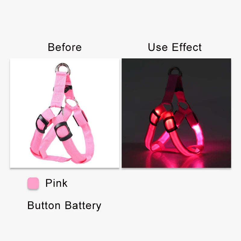 50204777578796|50204777611564|50204777644332