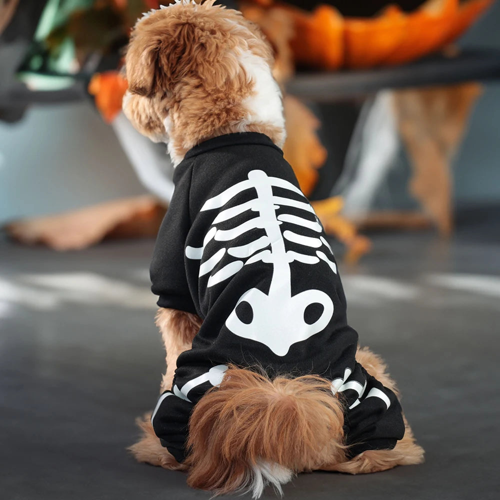 Luminous Skeleton Dog Costumes