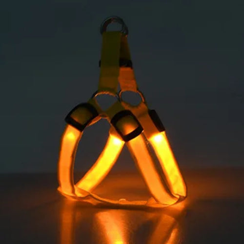 Pet LED Lumious Harness