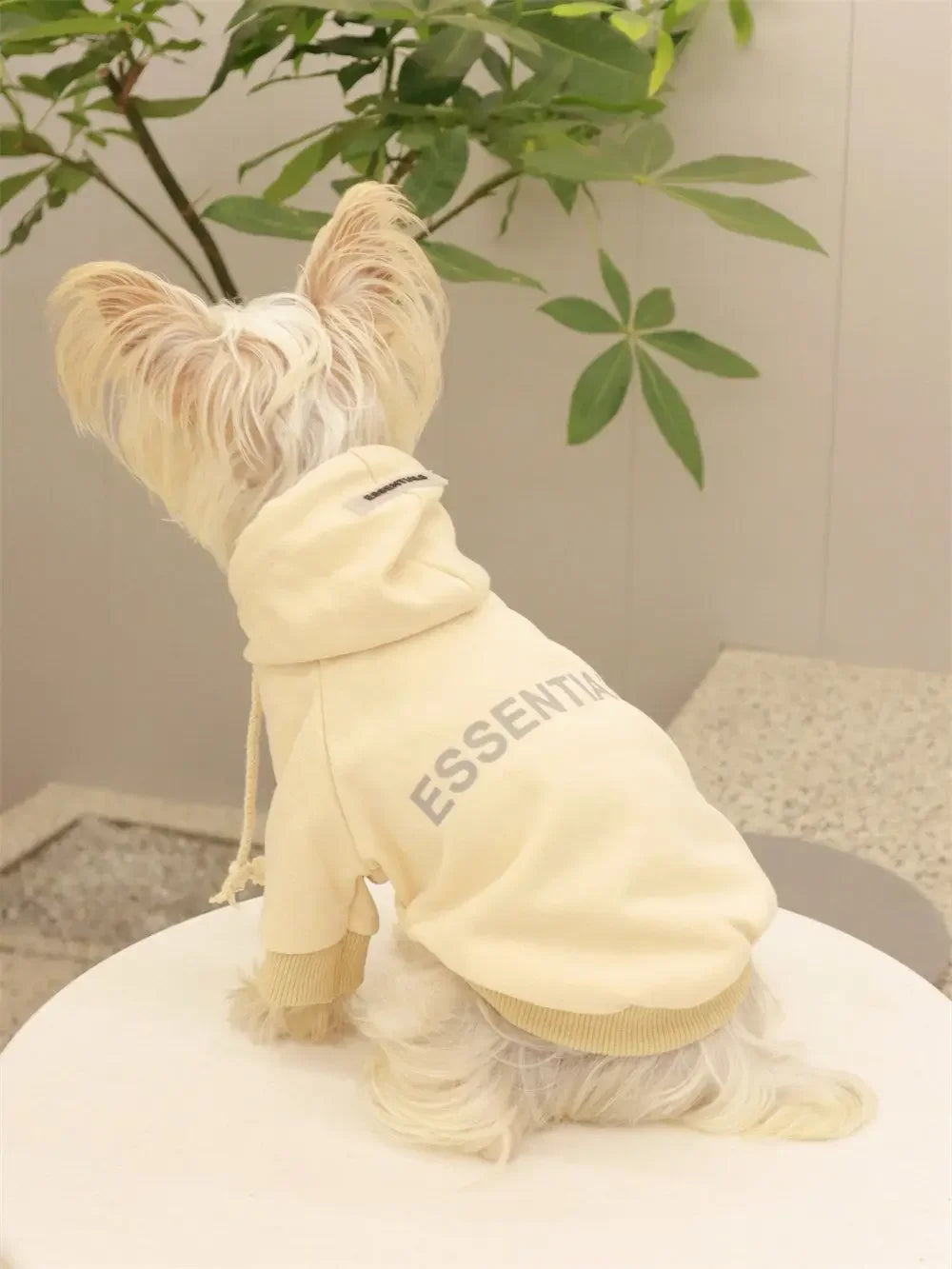 Dog Essentials Hoodie