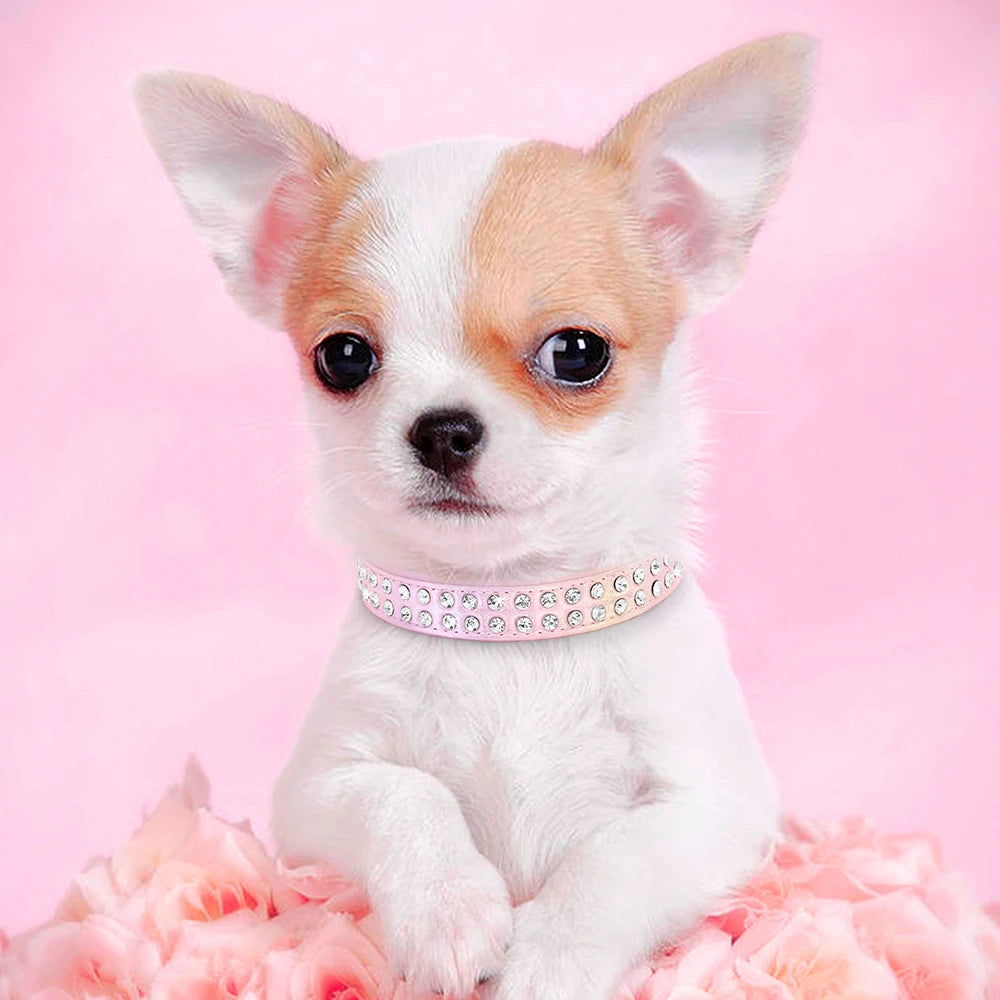 Rhinestone Dog Collar For Small and Medium Dogs