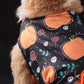 Pet Halloween Dress