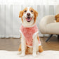 Big Dogs Clothes Winter Warm Sweater XS-8XL